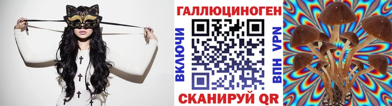 OMG ССЫЛКА  Пыталово  Псилоцибиновые грибы Psilocybine cubensis 