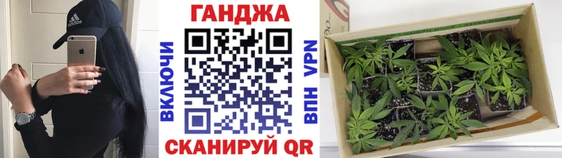 сайты даркнета наркотические препараты  Пыталово  МАРИХУАНА SATIVA & INDICA 